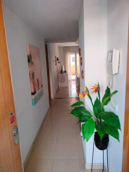 Appartamento Bajo Con Jardin A Pie De Playa Y Piscina Comunitaria Con Jacuzzi Playas de Vera Esterno foto